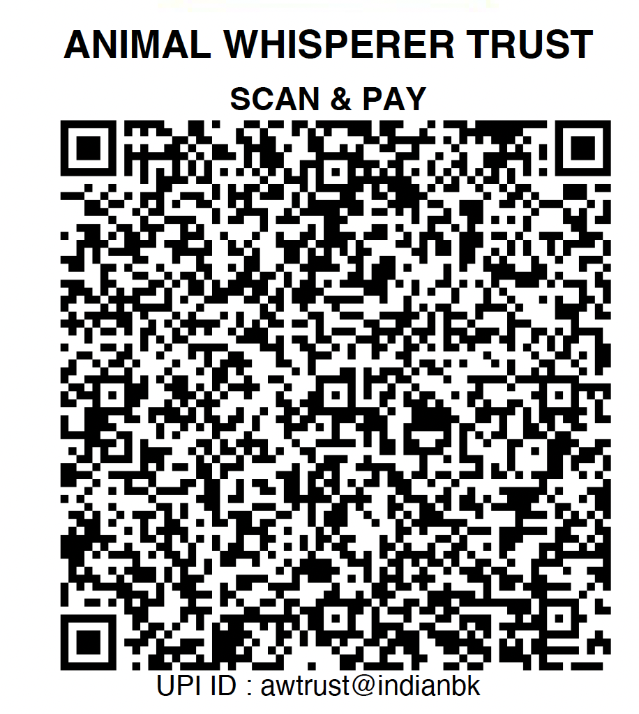 Donate Worldwide QR Code